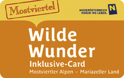Wilde Wunder Card
